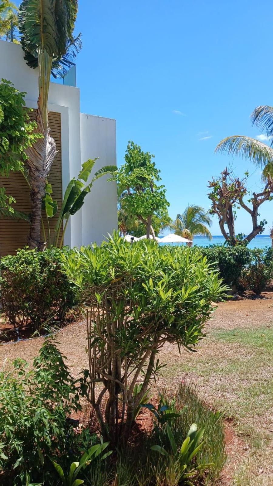Cap Ouest Luxury Beachfront Flic-en-Flacq المظهر الخارجي الصورة